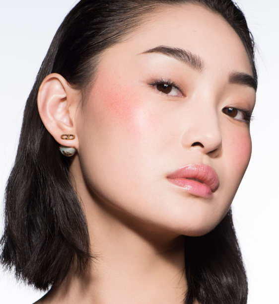 Blush Dior - Fard à joues et pommettes - Haute pigmentation - Longue tenue