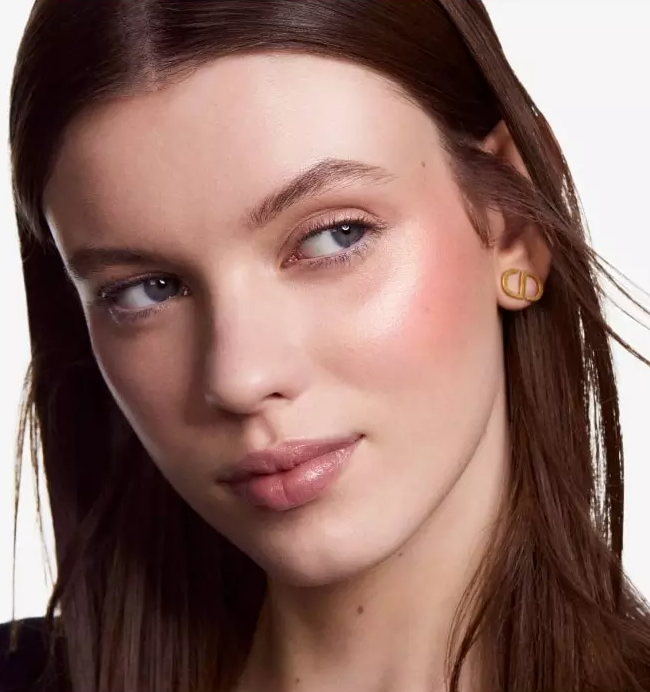Dior BLUSH COLOUR & GLOW PALETTE TEINT MULTI-USAGE Duo couleur et highlighter